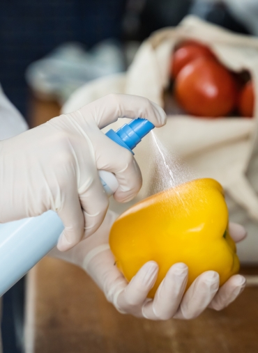 acompañamiento planes de saneamiento