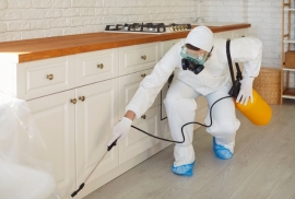 servicio de consultoria ambiental bogota